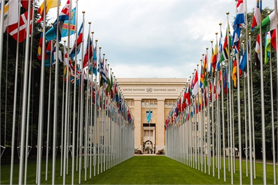 [ai] A row of flags from various countries displayed in front of the United Nations building in Geneva, framed by green grass and trees under a cloudy sky.